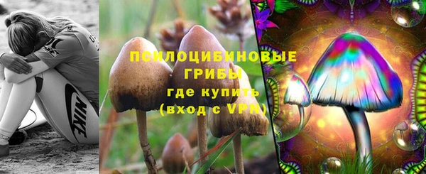 apvp Алексин