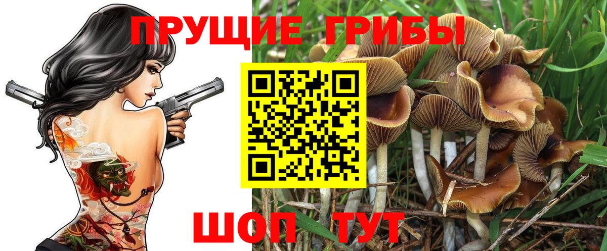 как найти закладки  Галлюциногенные грибы мухоморы  Вход с VPN  Мурманск  Псилоцибиновые грибы Psilocybine cubensis 